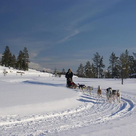 Alevi Camping Stöllet エクステリア 写真